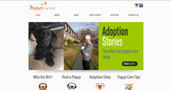 Puppies for Rent